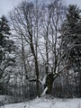 Vorschaubild der Version vom 19:03, 27. Feb. 2016