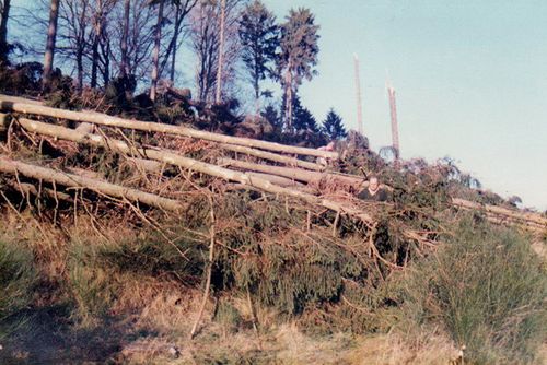 Zerstörter Kurpark Hahn nach Sturmtief Yra