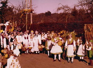 1975 Wehrbüschgruppe.jpg